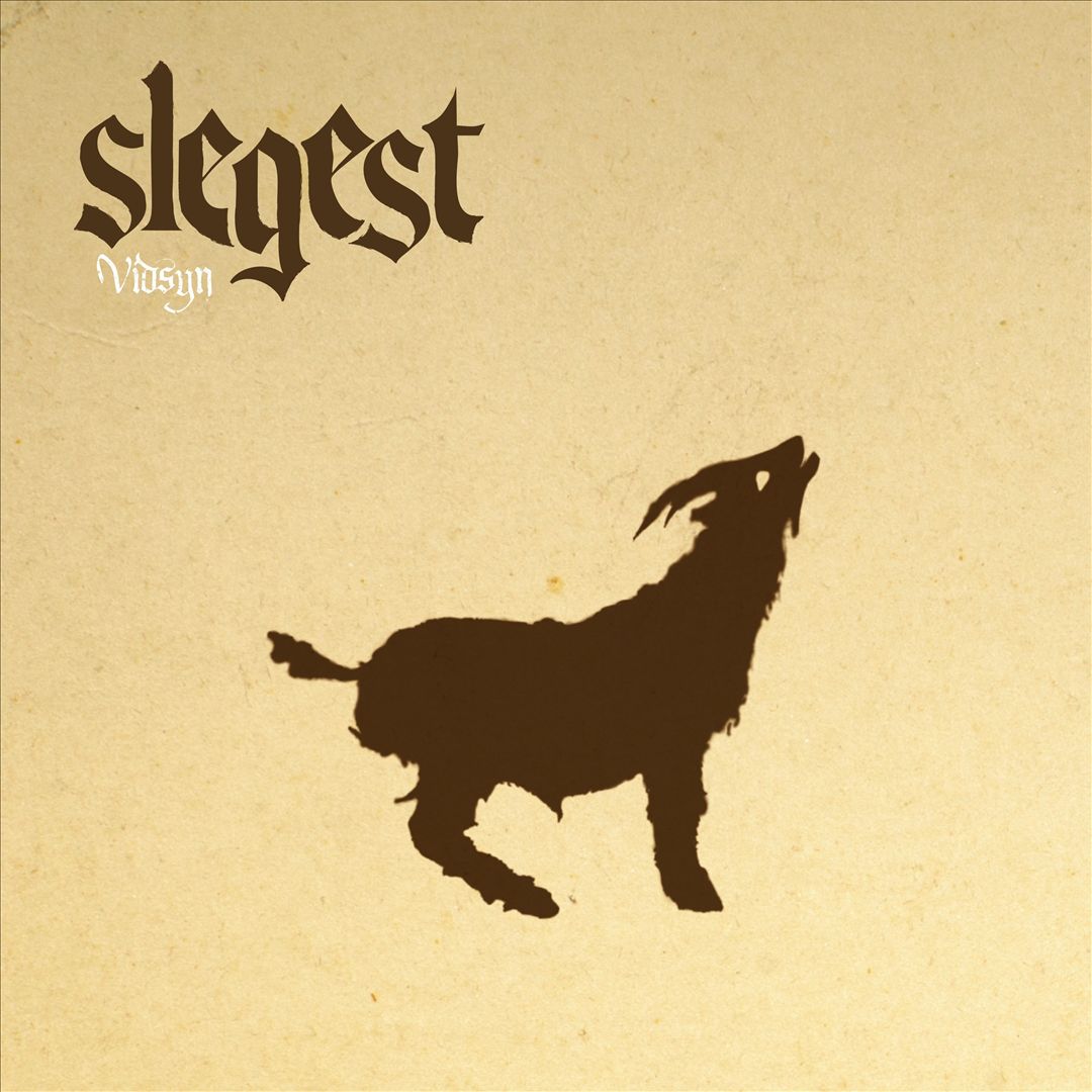 Vidsyn cover art