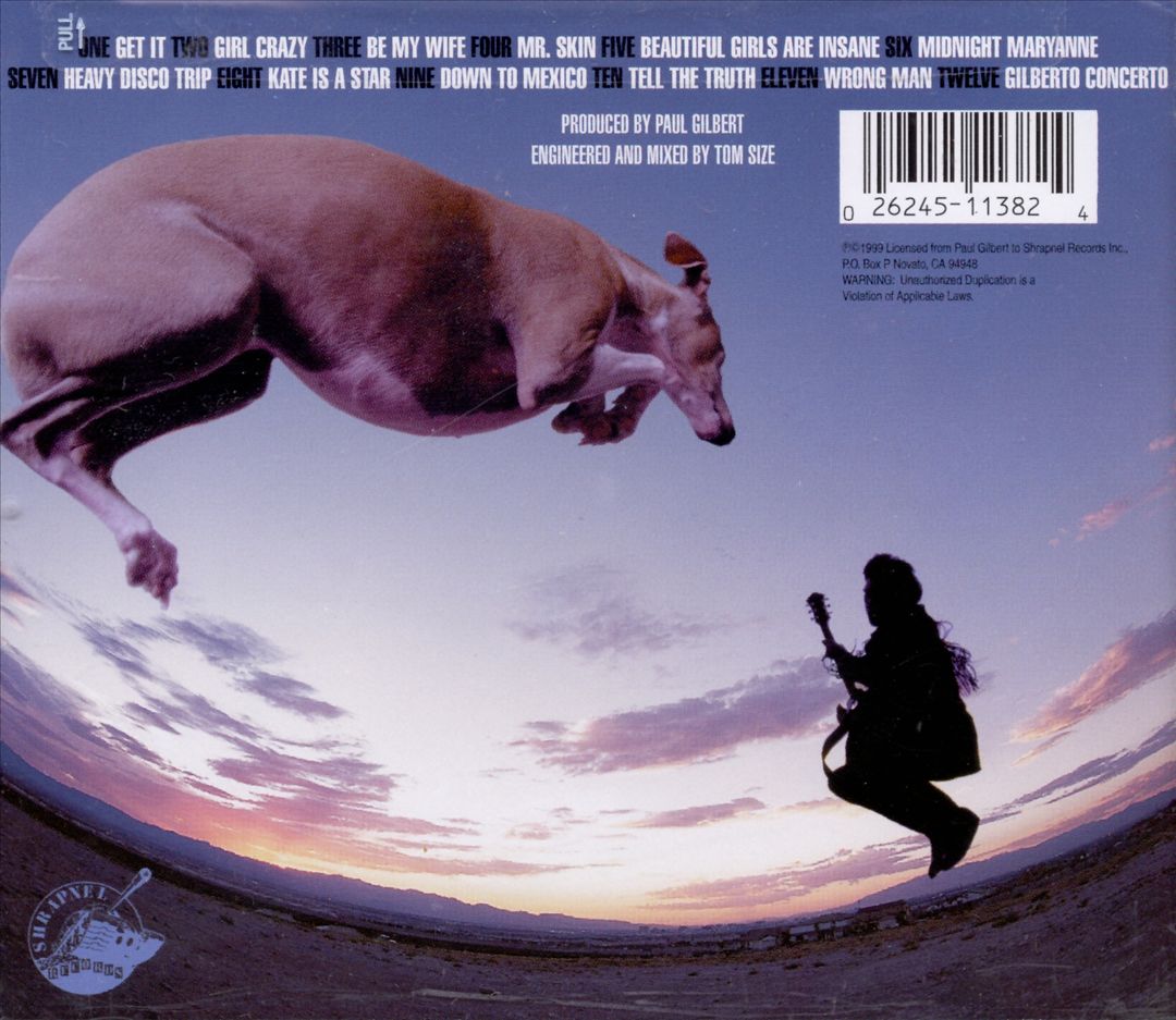 Flying Dog cover art