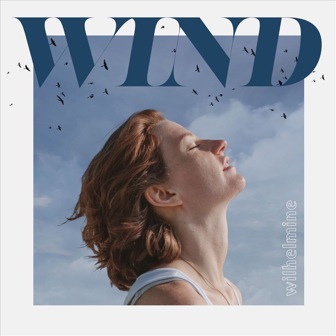 Wind cover art