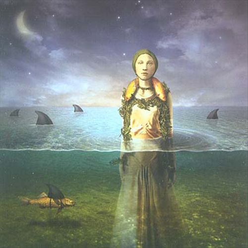 Found in the Flood cover art