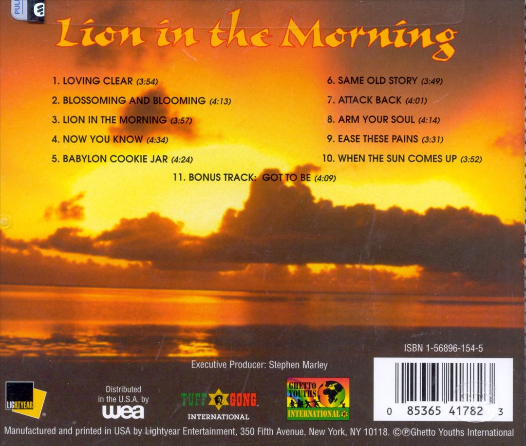 Lion in the Morning cover art