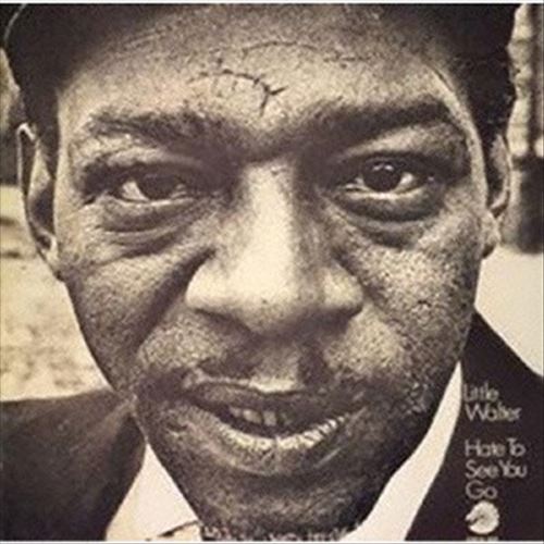Hate to See You Go [Bonus Track] [Remastered] cover art
