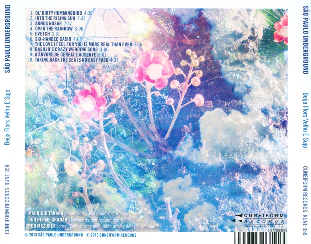 Beija Flors Velho e Sujo cover art