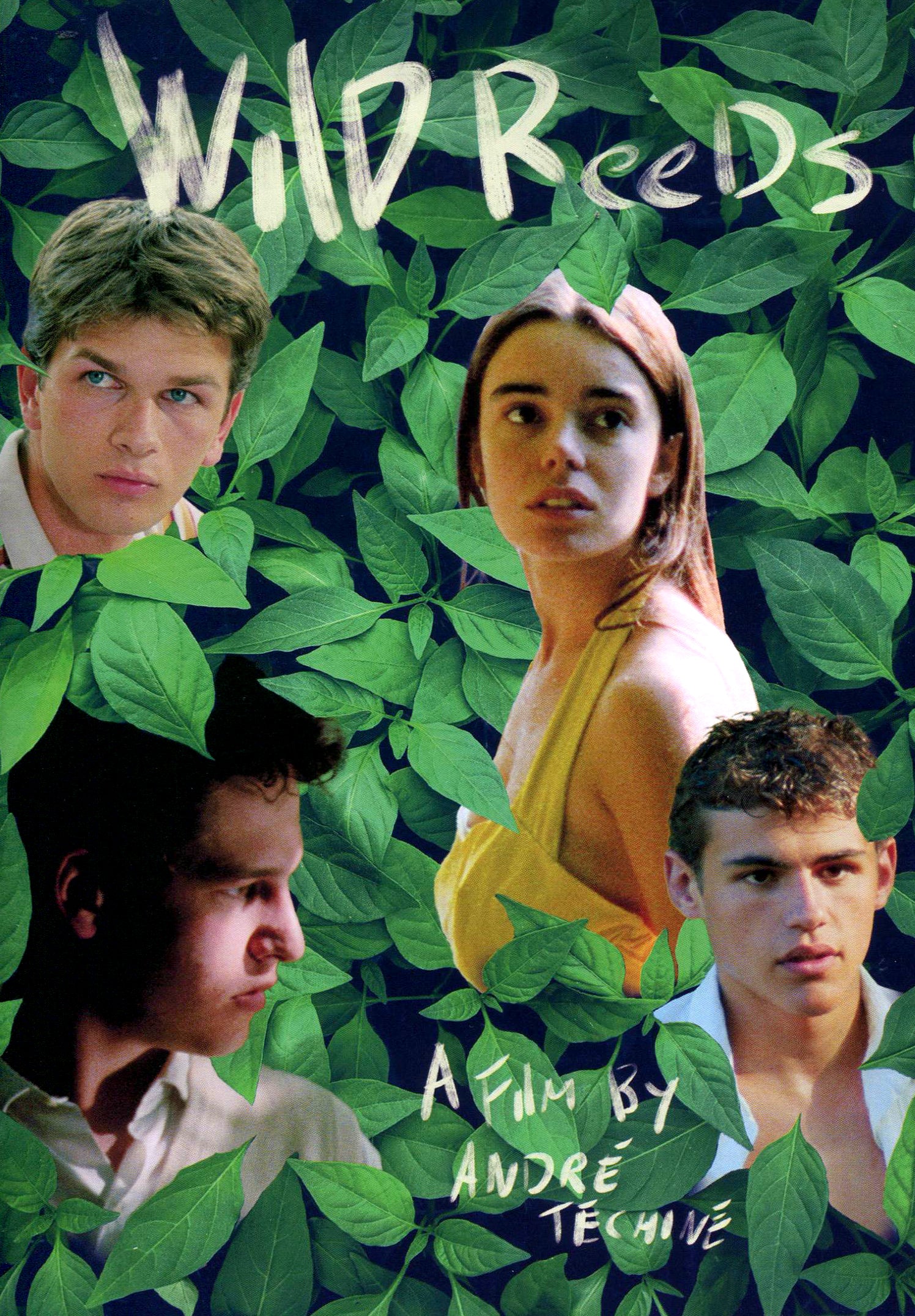 Wild Reeds cover art