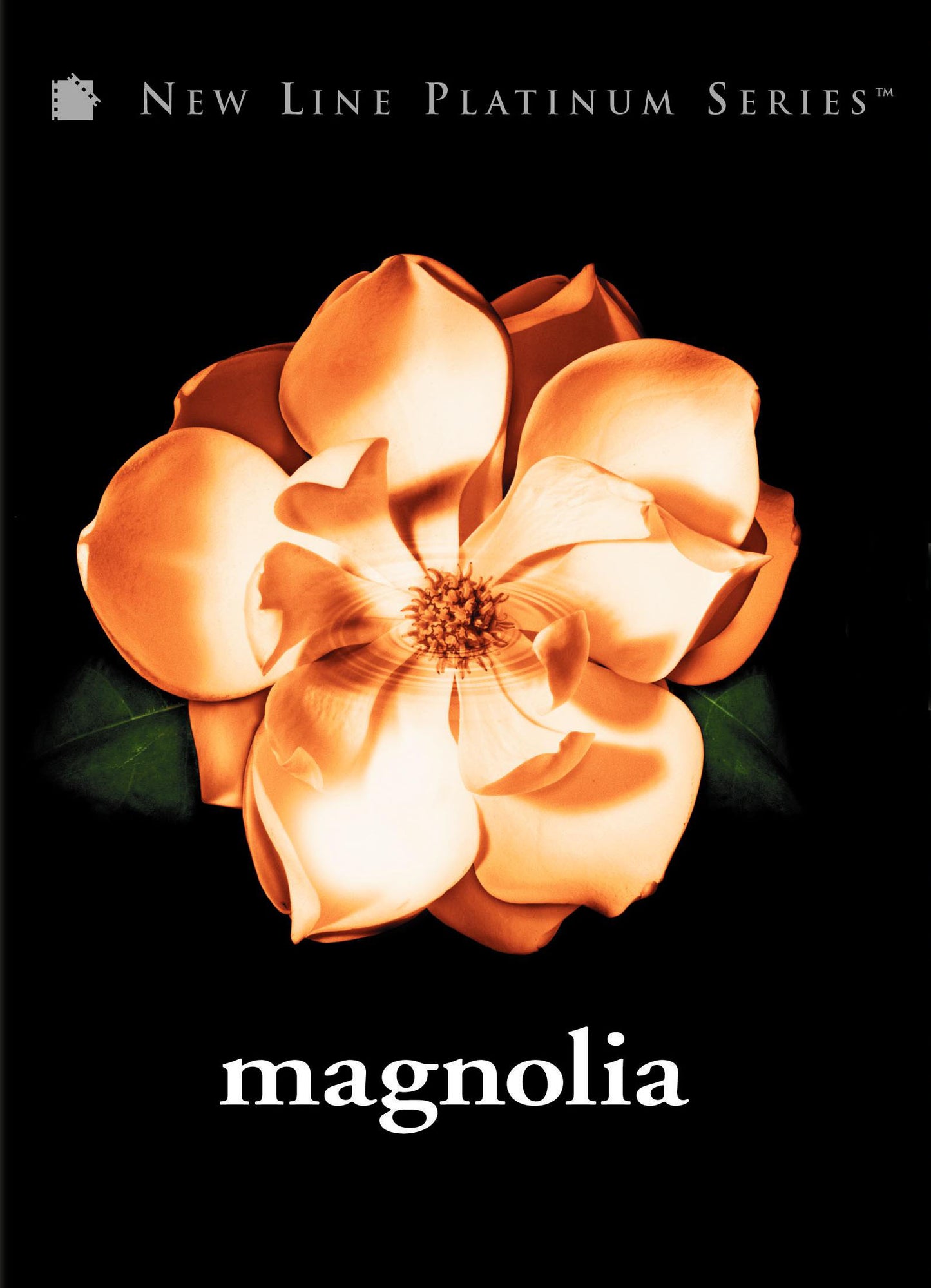Magnolia [2 Discs] cover art