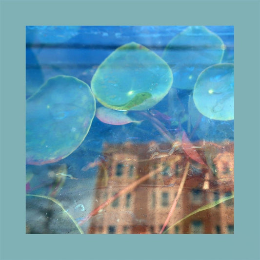 Acknowledge Kindness cover art
