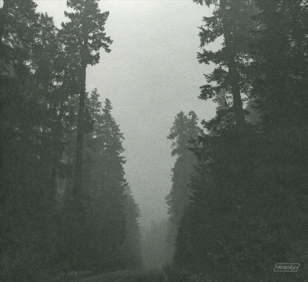 Shade cover art