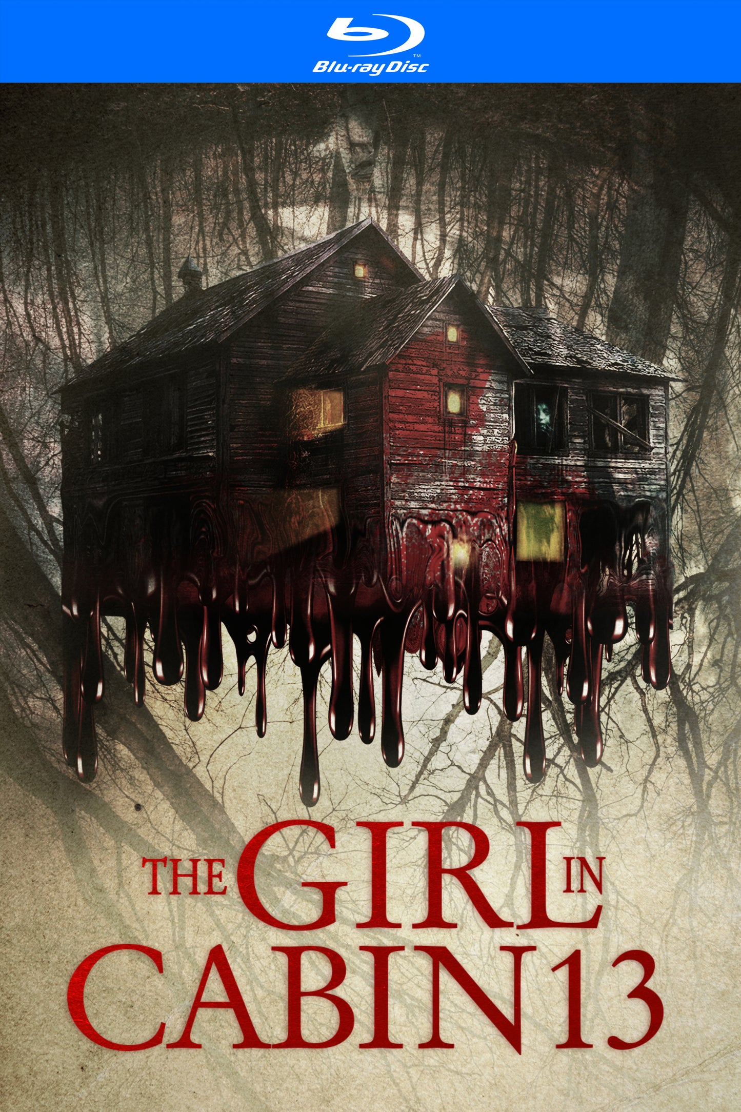 Girl in Cabin 13 [Blu-ray] cover art