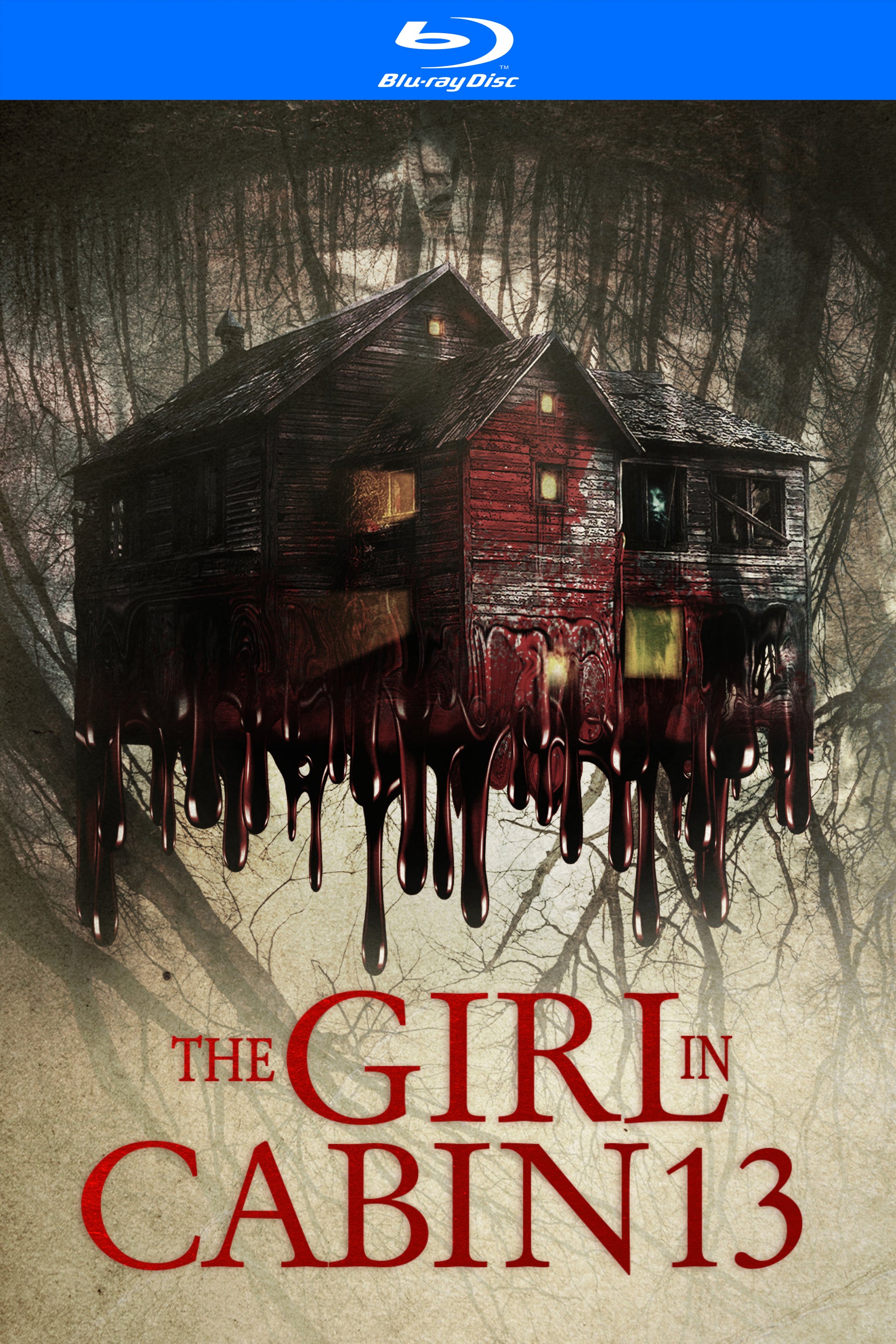 Girl in Cabin 13 [Blu-ray] cover art
