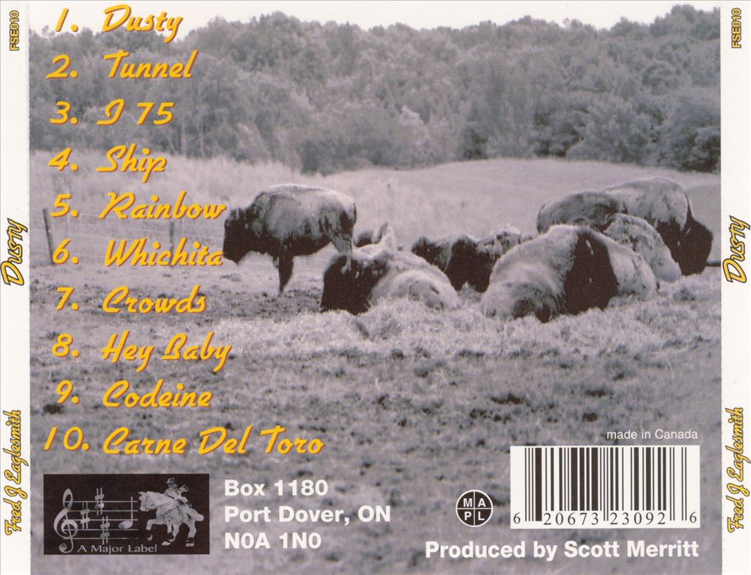 Dusty cover art