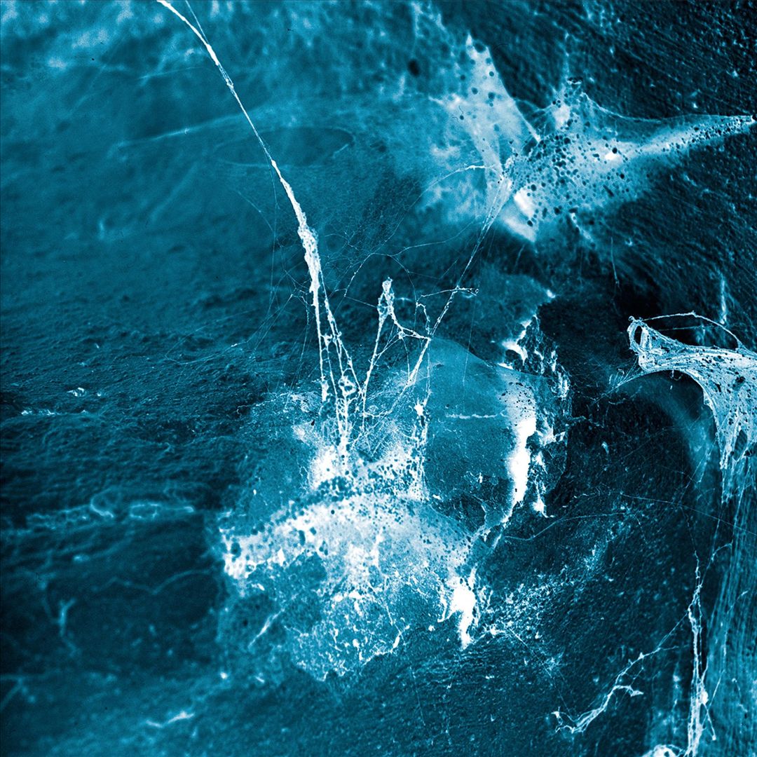 Hvel cover art