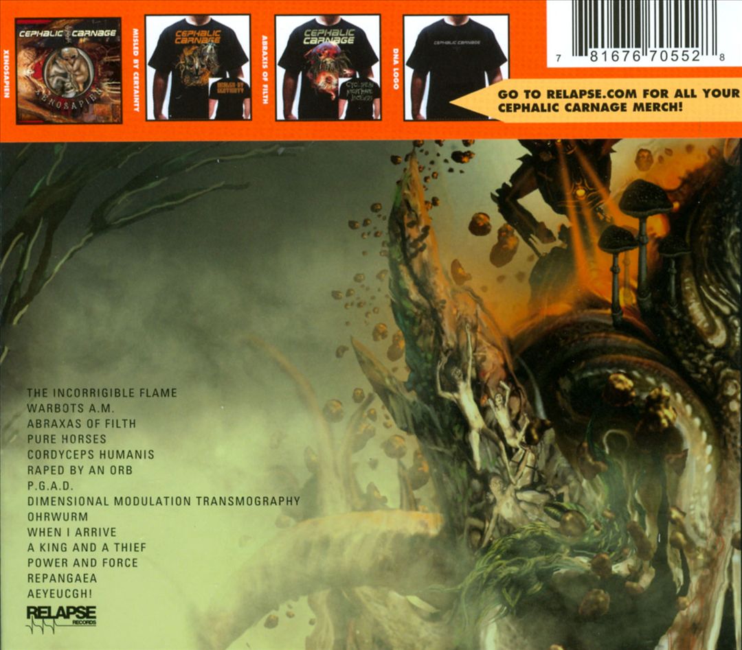 Misled by Certainty cover art
