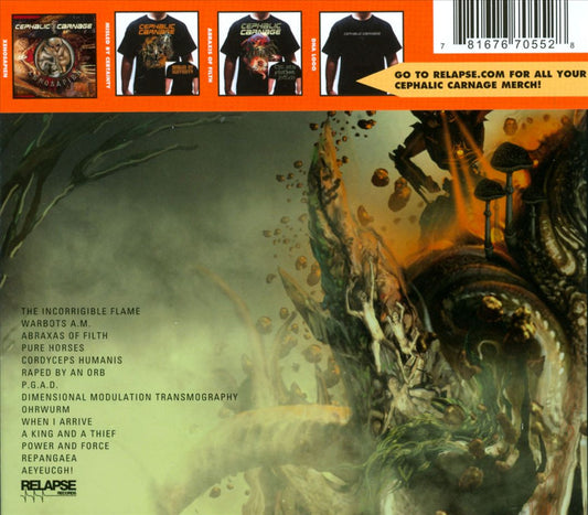 Misled by Certainty cover art