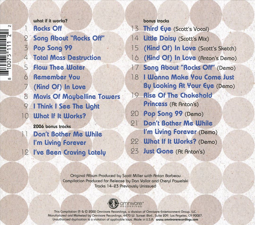 What If It Works? cover art