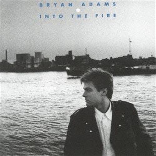Into the Fire cover art