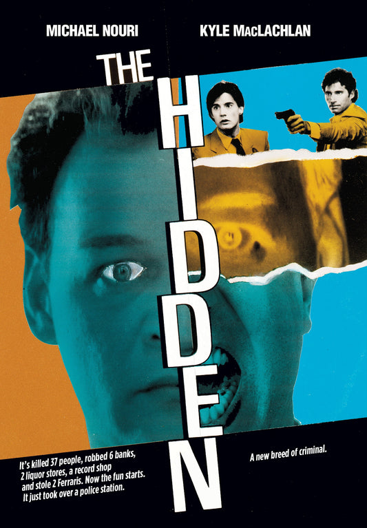 Hidden cover art