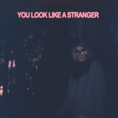 You Look Like a Stranger cover art