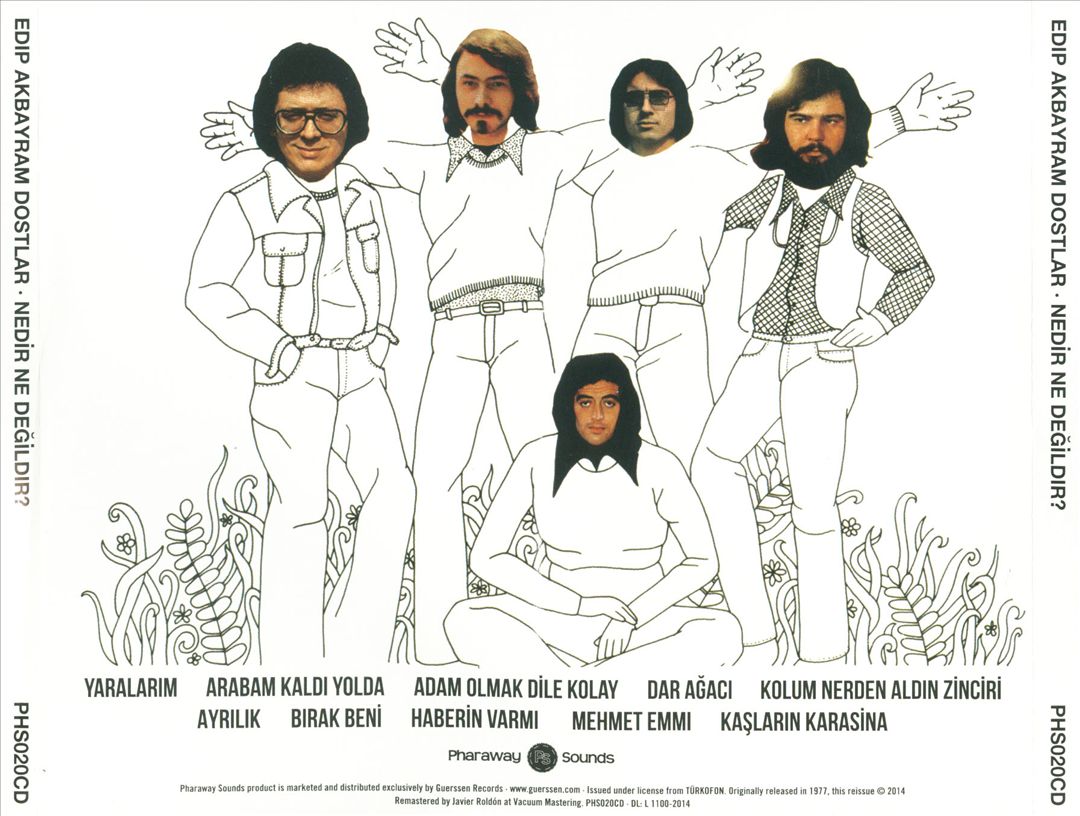 Nedir Ne Degildir [Remastered] cover art