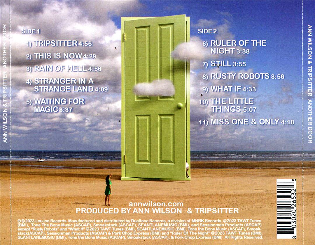 Another Door cover art
