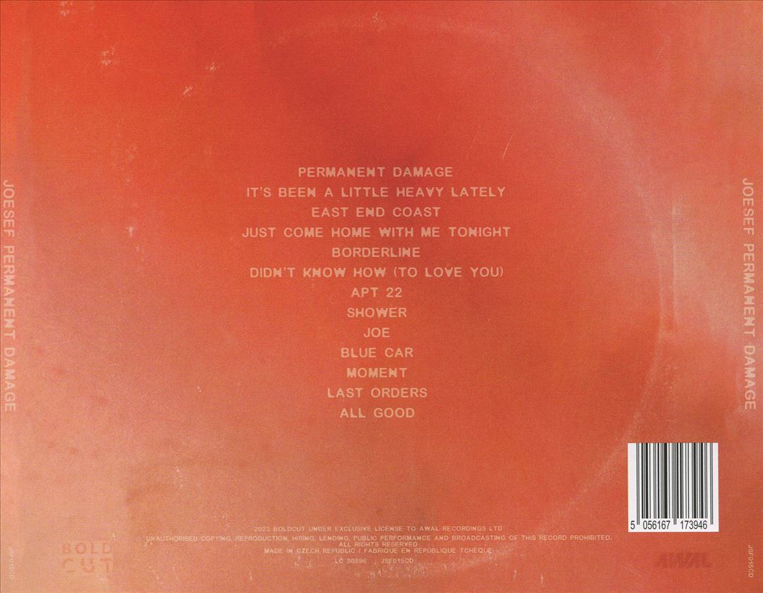 Permanent Damage cover art