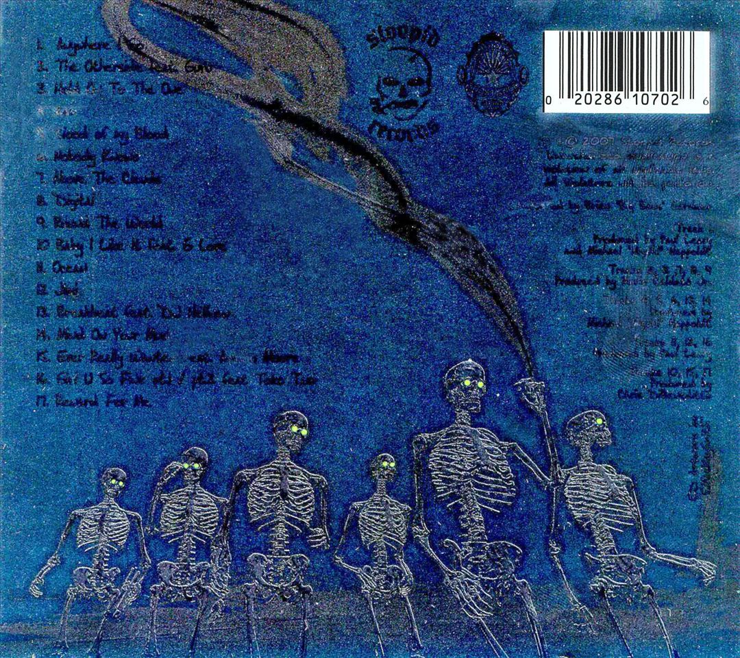 Chronchitis cover art