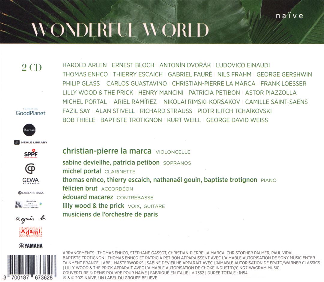 Wonderful World cover art