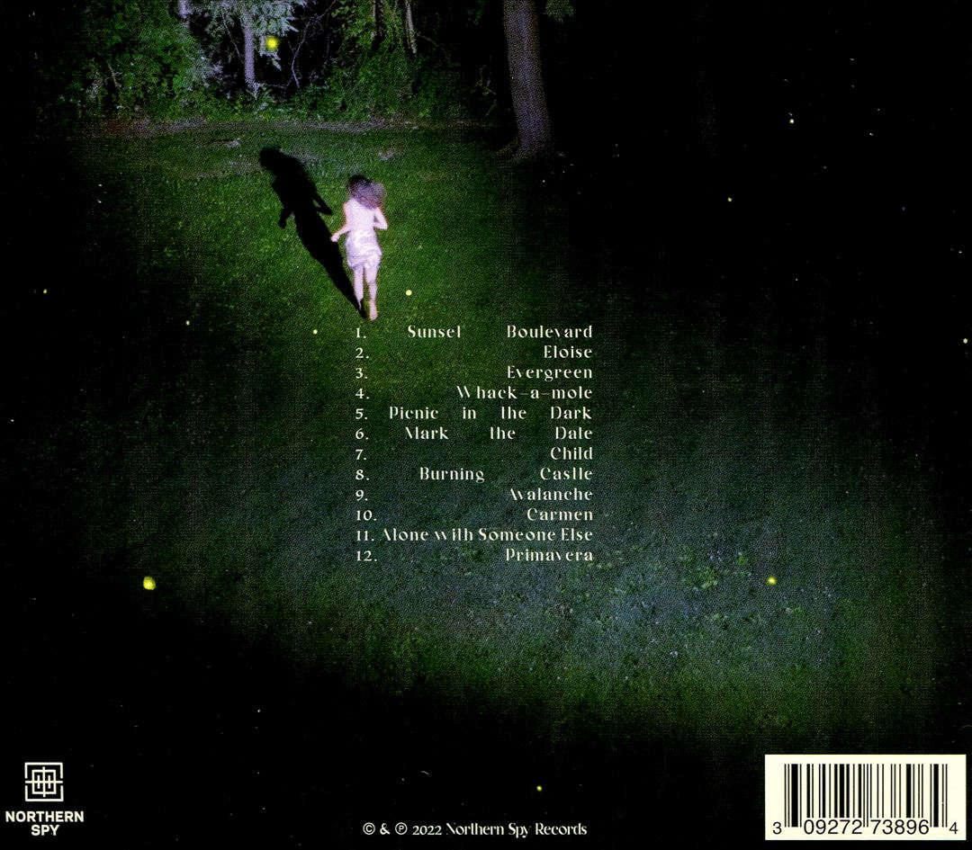 Picnic in the Dark cover art