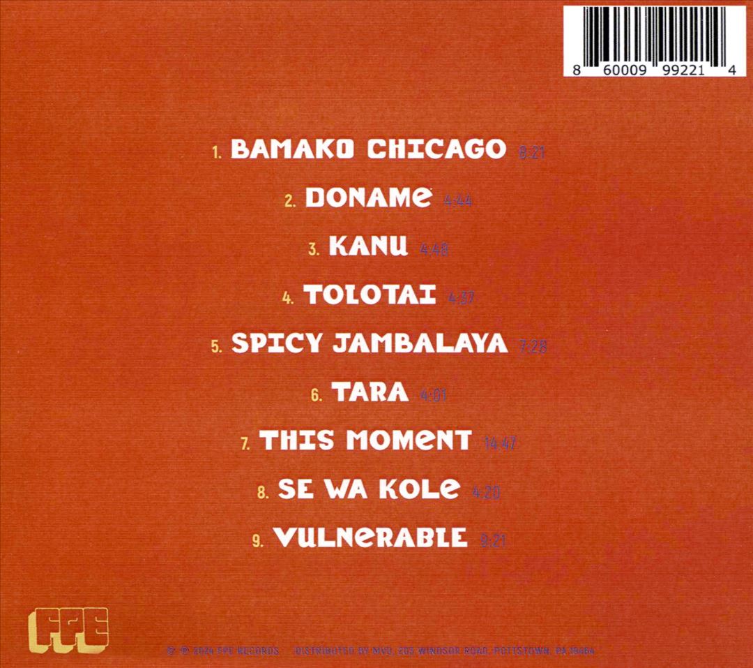 Bamako Chicago Sound System cover art
