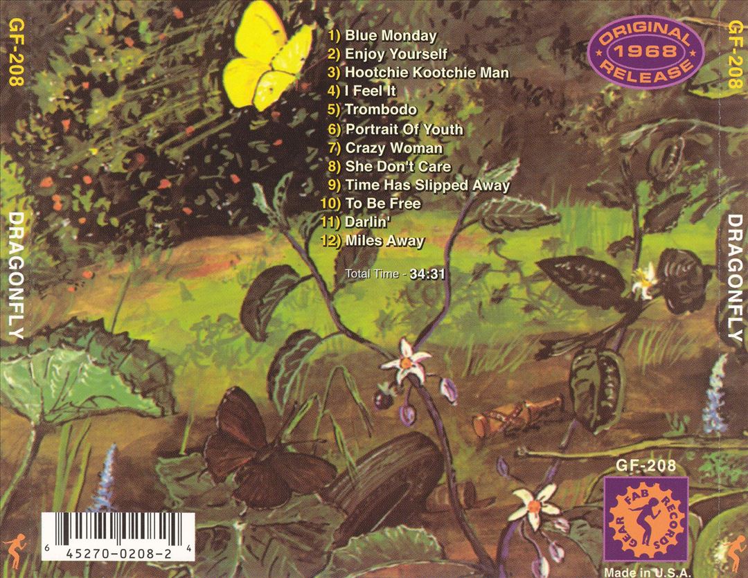 Dragonfly cover art
