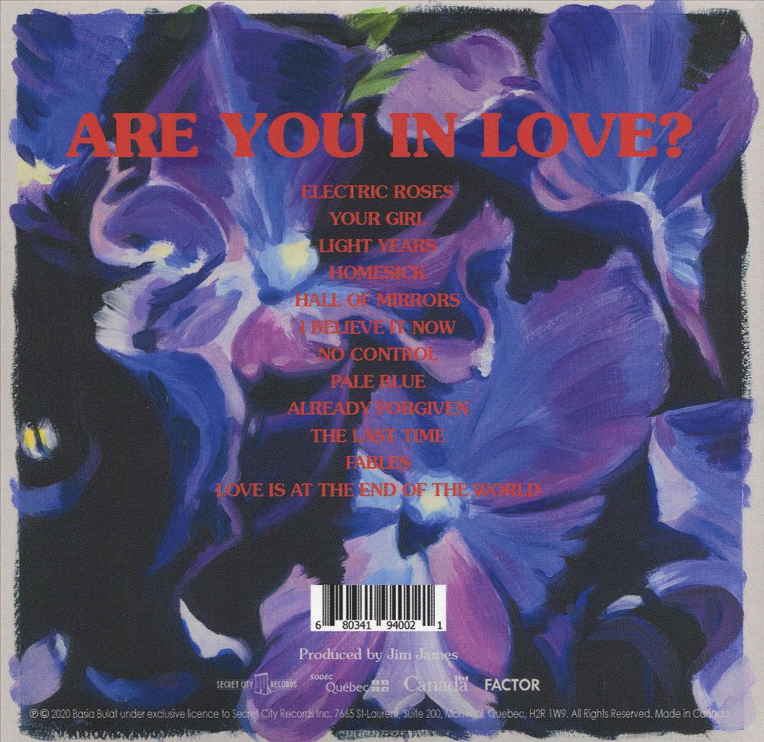 Are You in Love? cover art