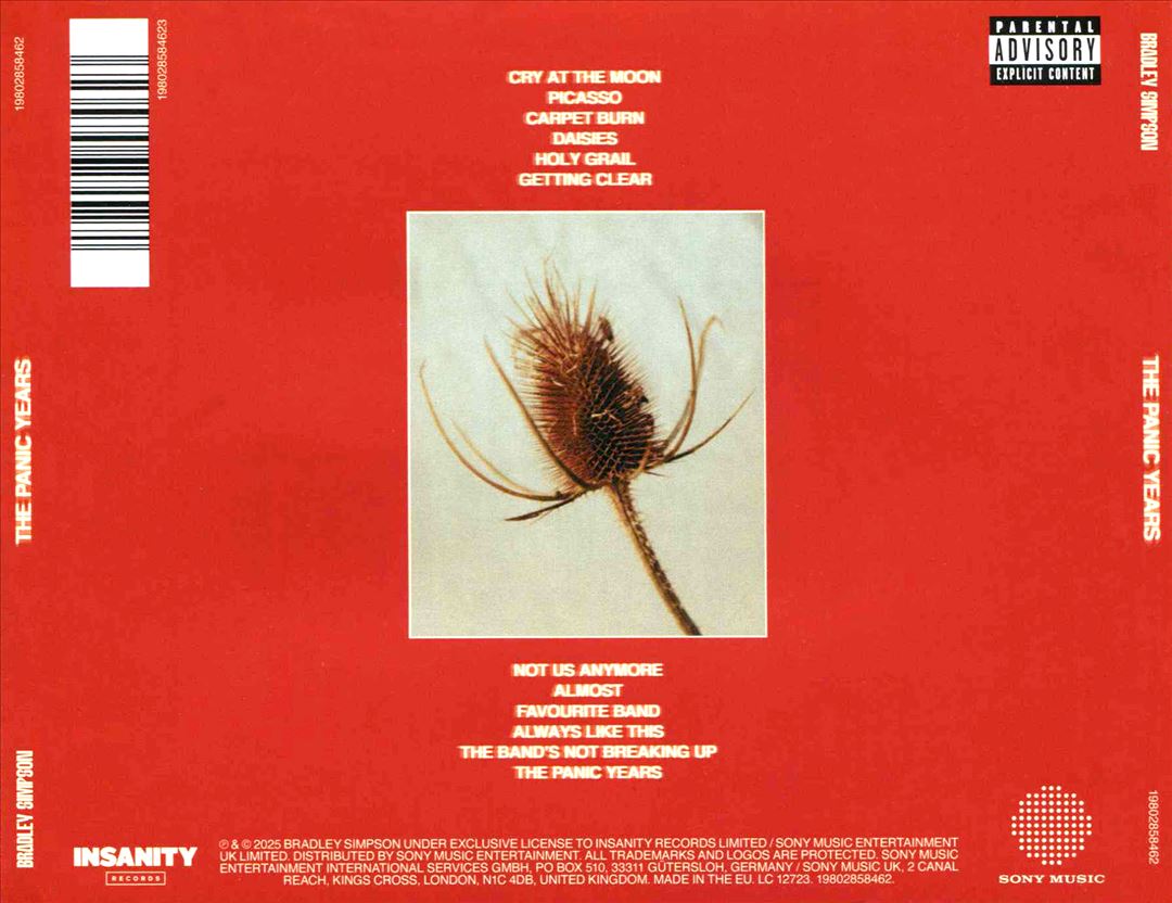 Panic Years cover art