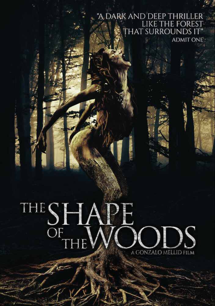 Shape of the Woods cover art