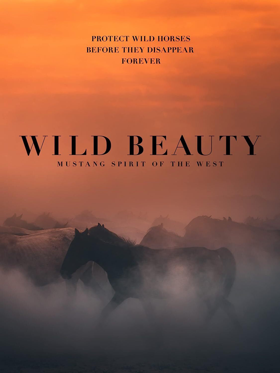 Wild Beauty: Mustang Spirit of the West cover art