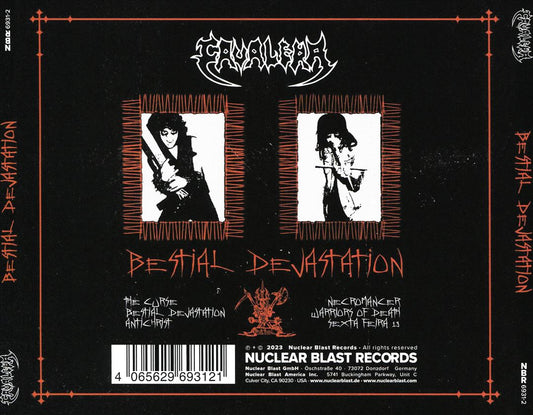 Bestial Devastation cover art
