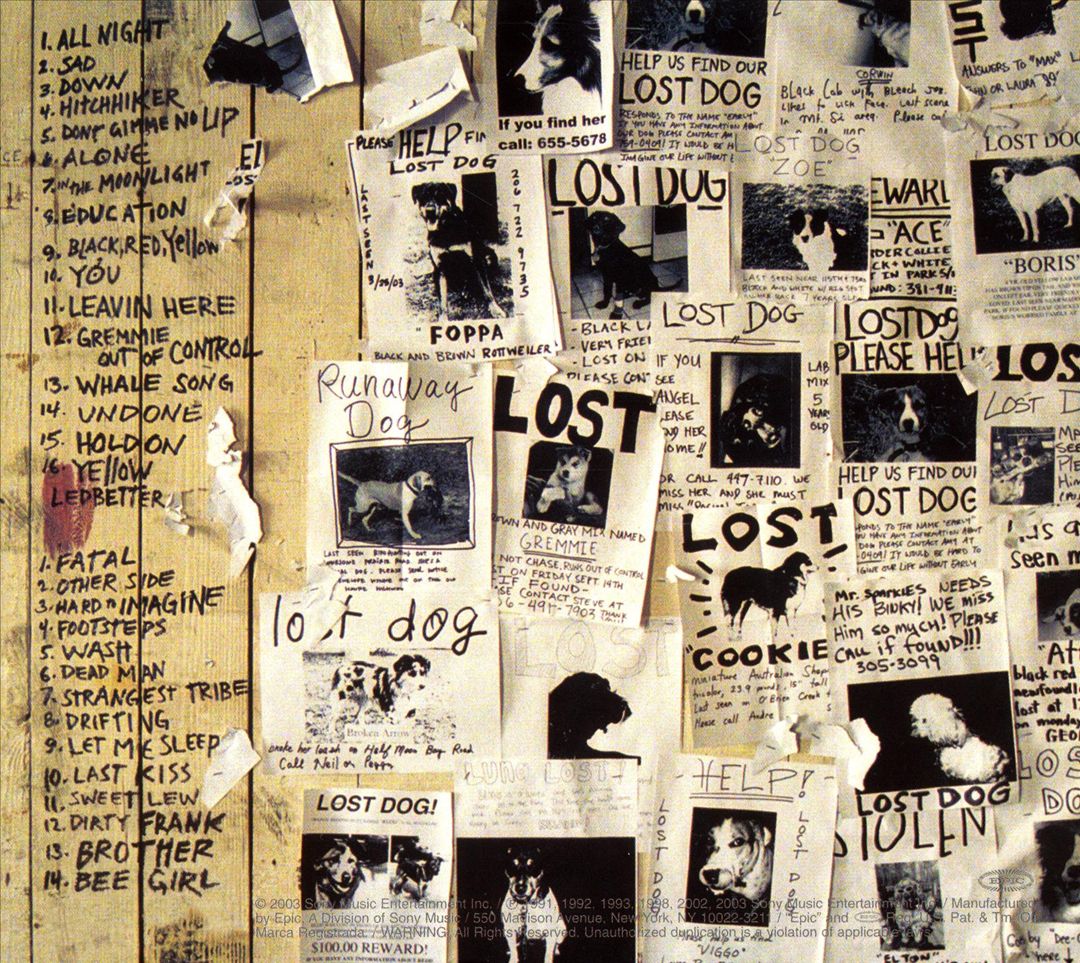 Lost Dogs: Rarities and B Sides cover art