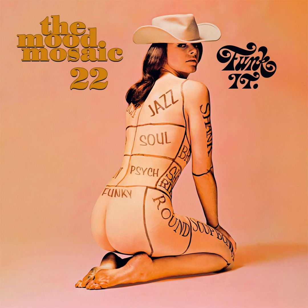 Mood Mosaic 22 cover art