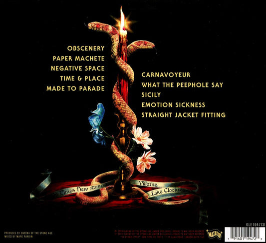 In Times New Roman... cover art