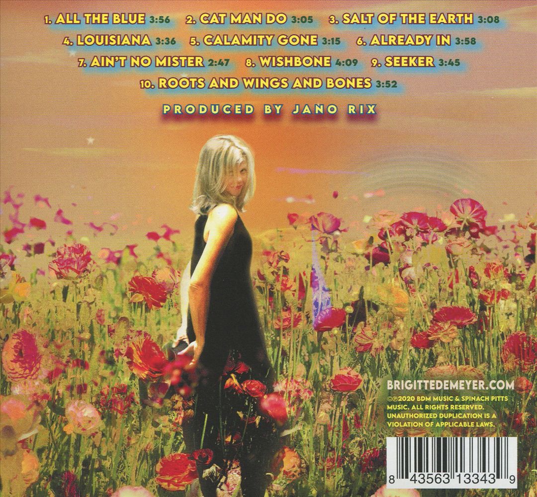 Seeker cover art