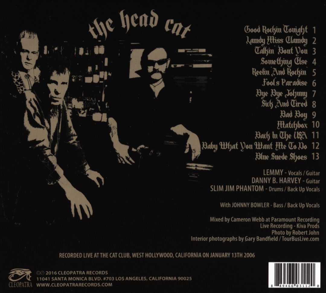 Rock n' Roll Riot on the Sunset Strip cover art