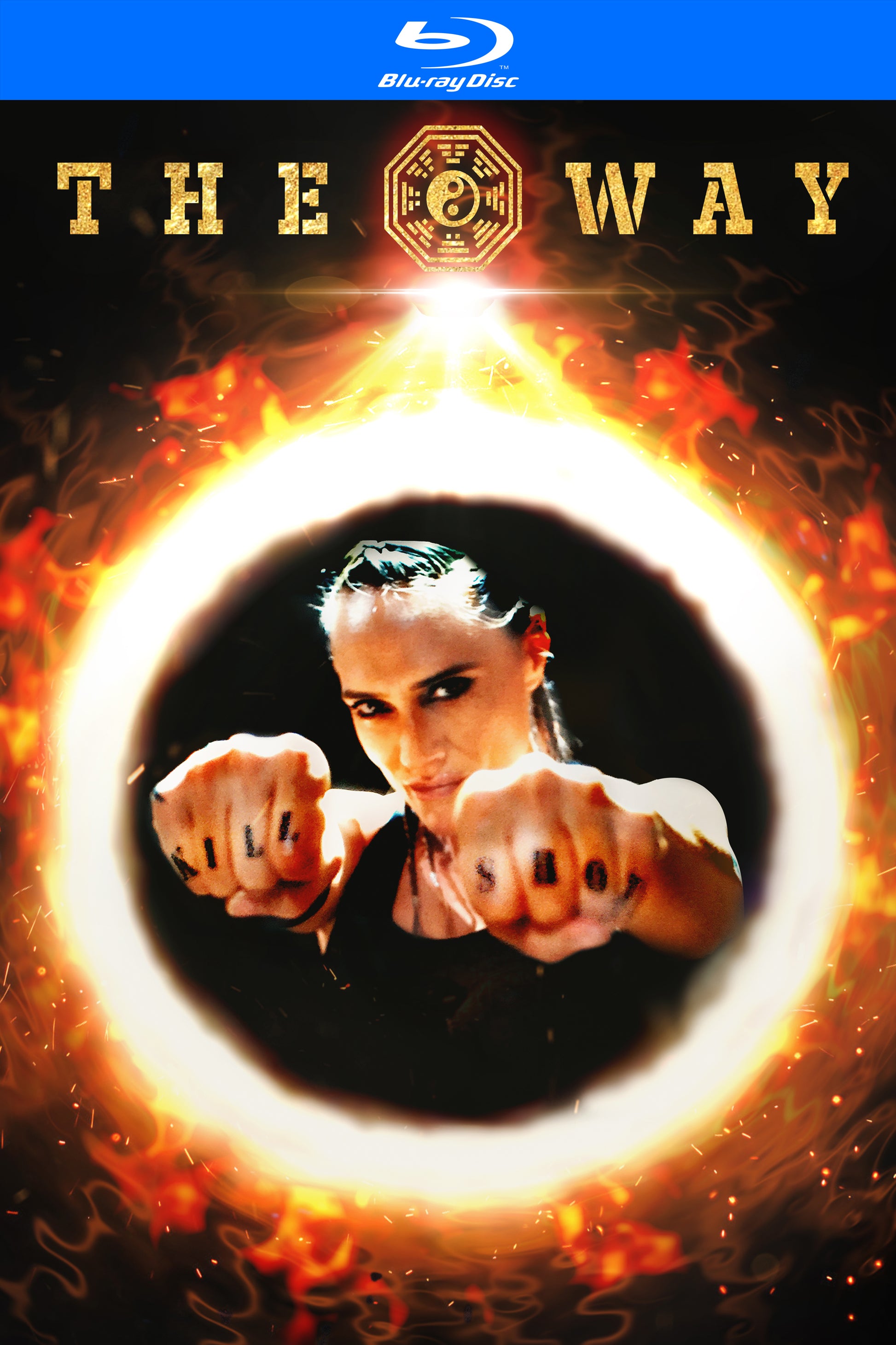 Way [Blu-ray] cover art