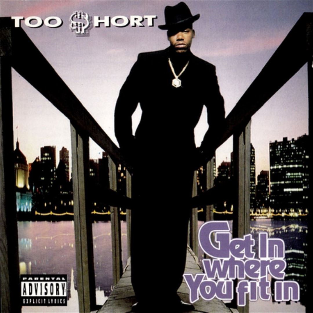 Get In Where You Fit In cover art