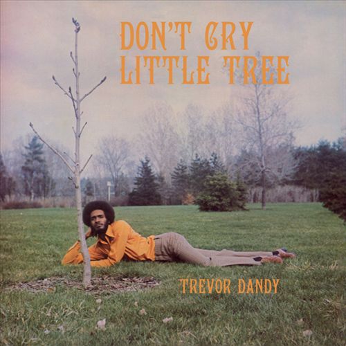 Don't Cry Little Tree cover art