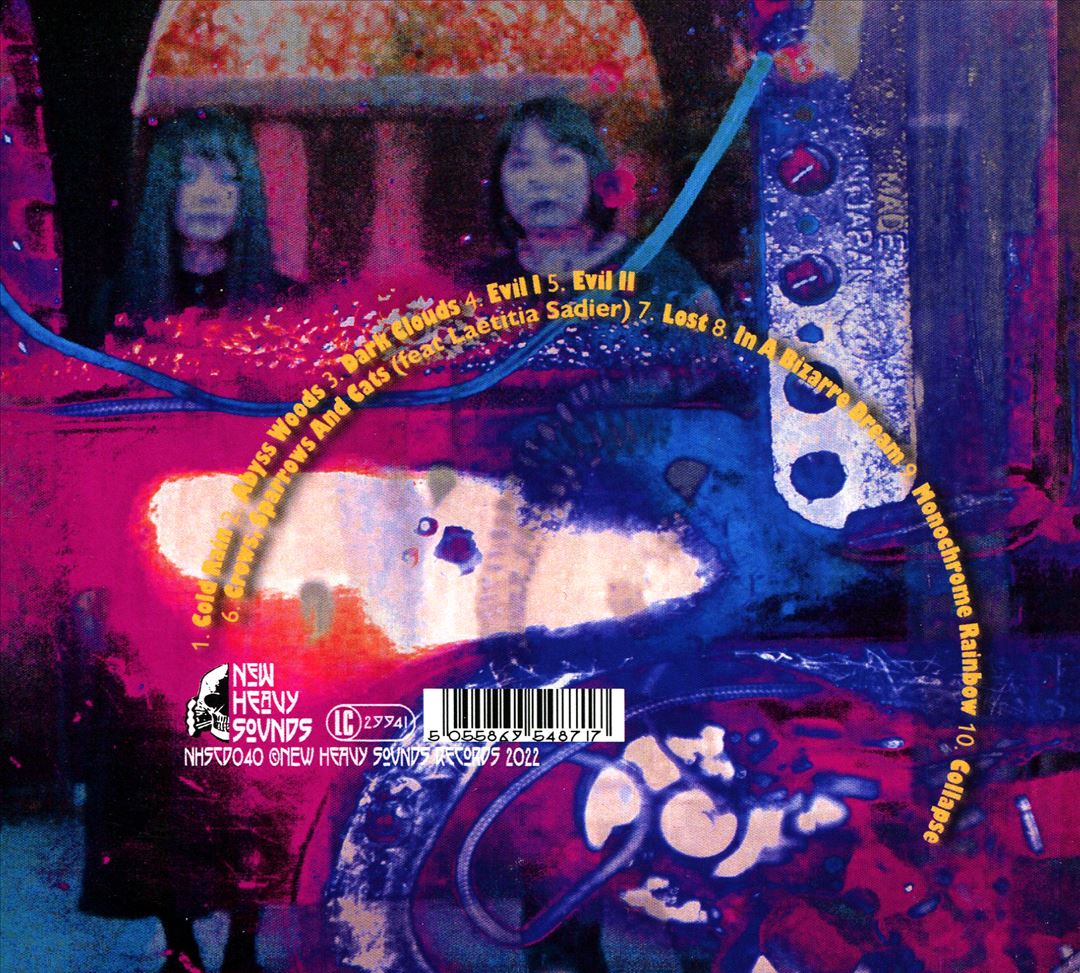 In a Bizarre Dream cover art