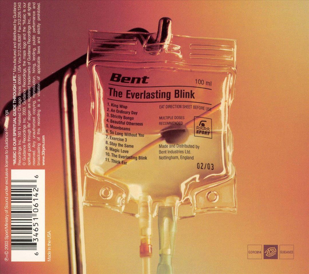 Everlasting Blink cover art