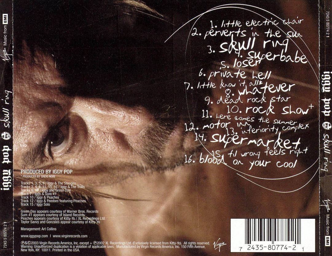 Skull Ring cover art