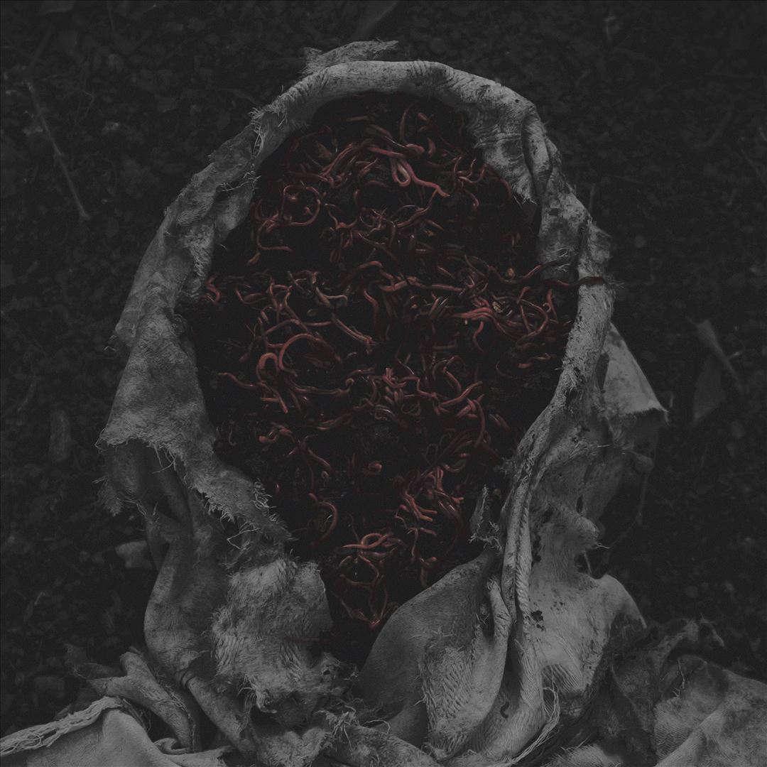 Stillamentum cover art