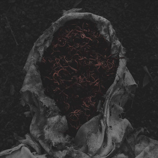 Stillamentum cover art