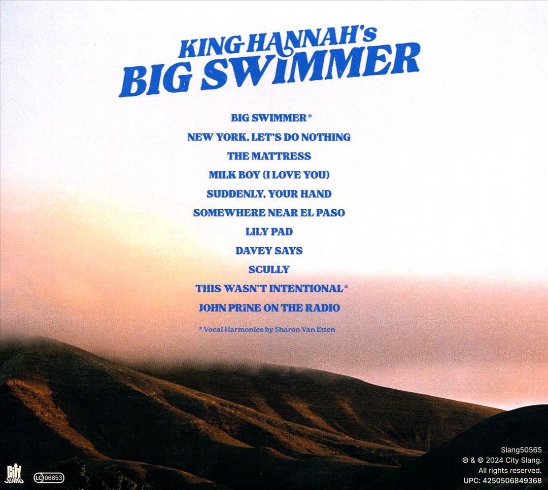 Big Swimmer cover art