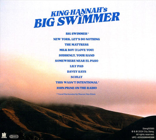 Big Swimmer cover art