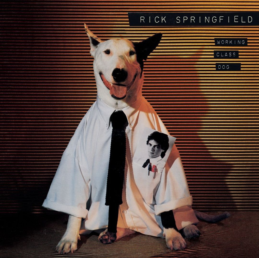 Working Class Dog cover art